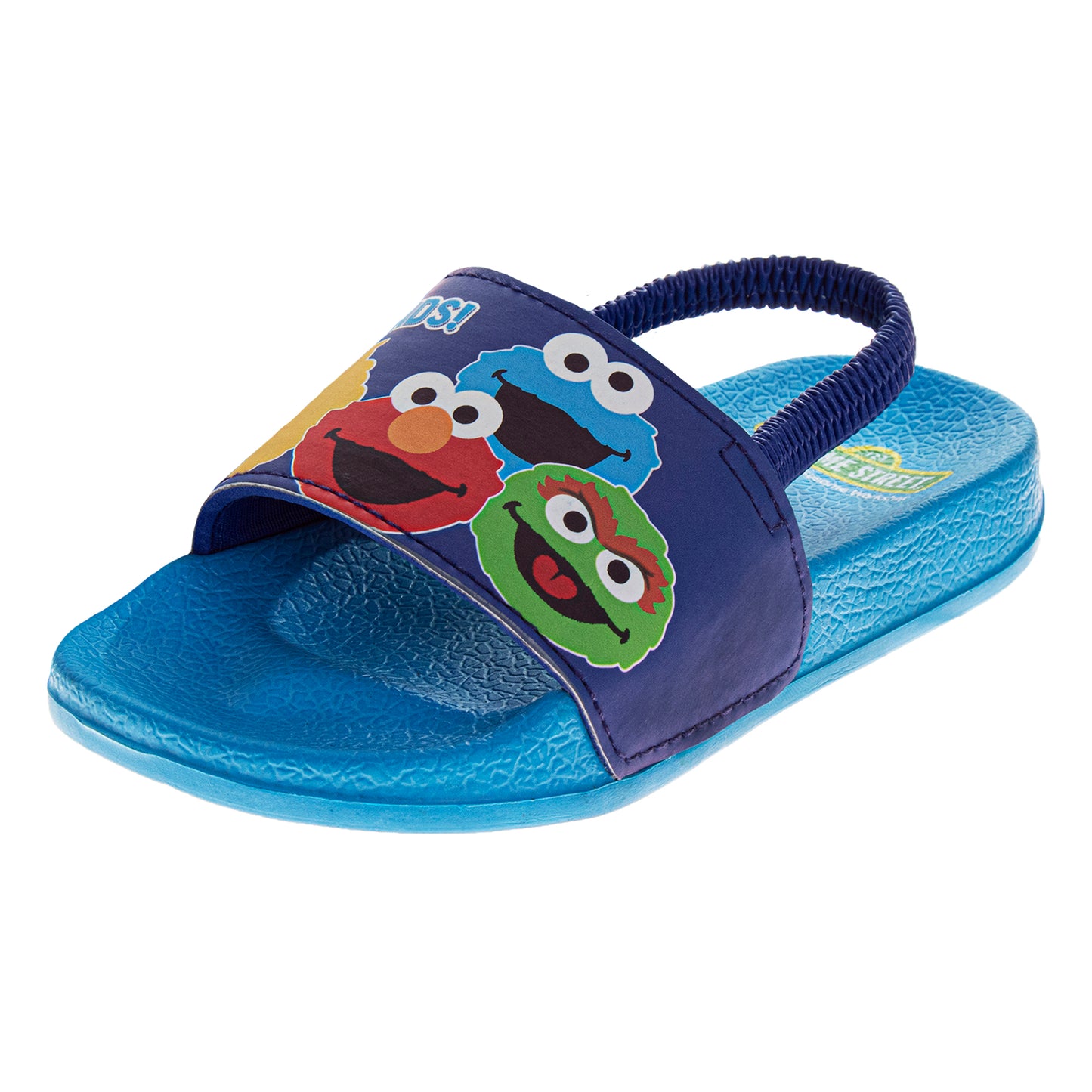 Sesame Street Slide Sandals for Kids Characters Design Blue Slip-On Quick Dry Pool/Beach (Toddler / Little Kid)