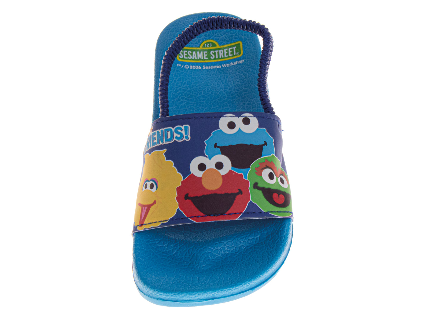 Sesame Street Slide Sandals for Kids Characters Design Blue Slip-On Quick Dry Pool/Beach (Toddler / Little Kid)